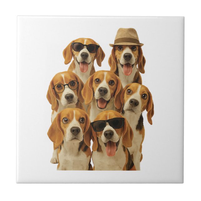 Carreau Beagle (Devant)