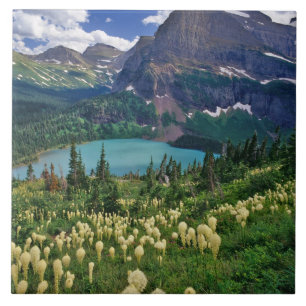 Carreau Beargrass au-dessus du lac Grinnell dans les nombr