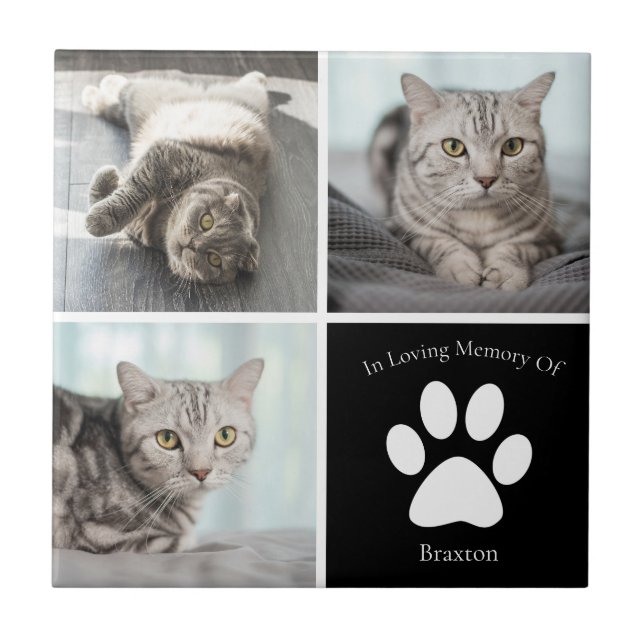 Carreau Beau Cat Memorial Personnalisé Animaux de compagni (Devant)