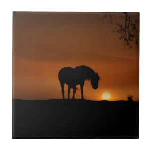 Carreau Beau Cheval et Sunset Sud-Ouest