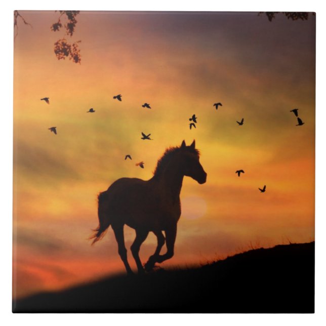 Carreau Beau Cheval Sihouetté au lever du soleil (Devant)
