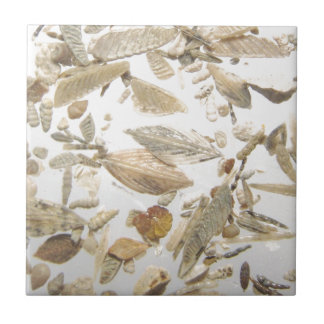 Carreau Beau motif de photo de microfossils