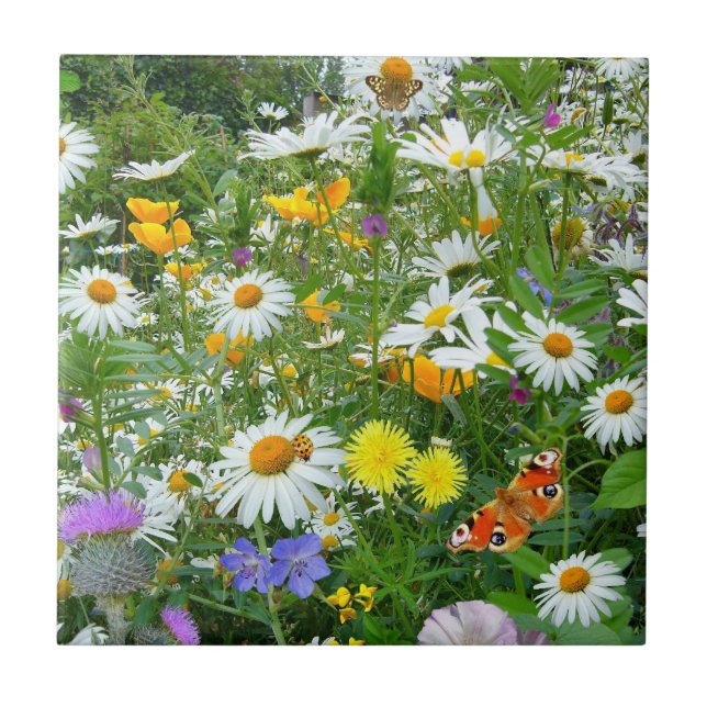 Carreau Beau pré de fleur sauvage et de papillon (Devant)