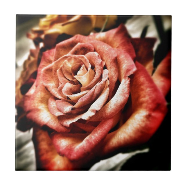 Carreau Beau Rose (Devant)