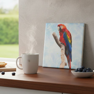 Carreau Beauté de Macaw