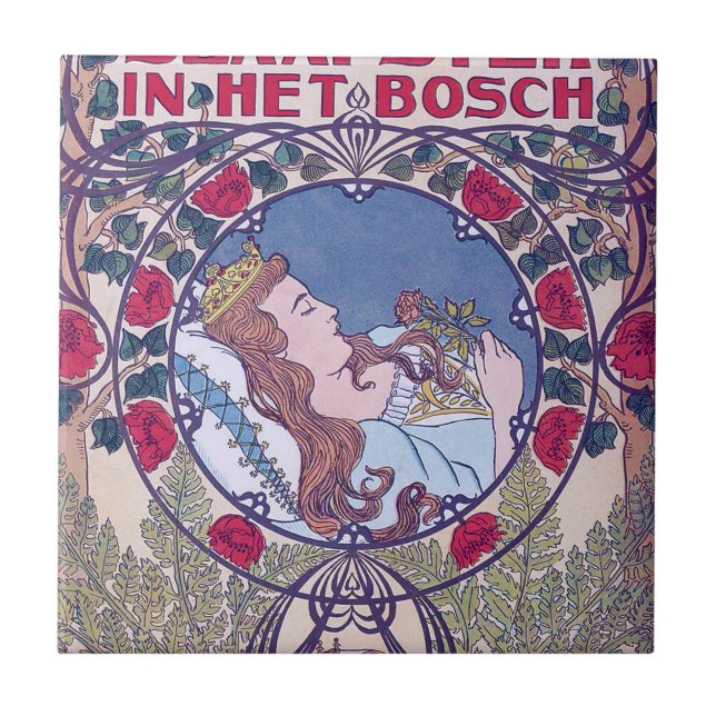 Carreau Beauté dormante, Art de couverture, Van Caspel (Devant)