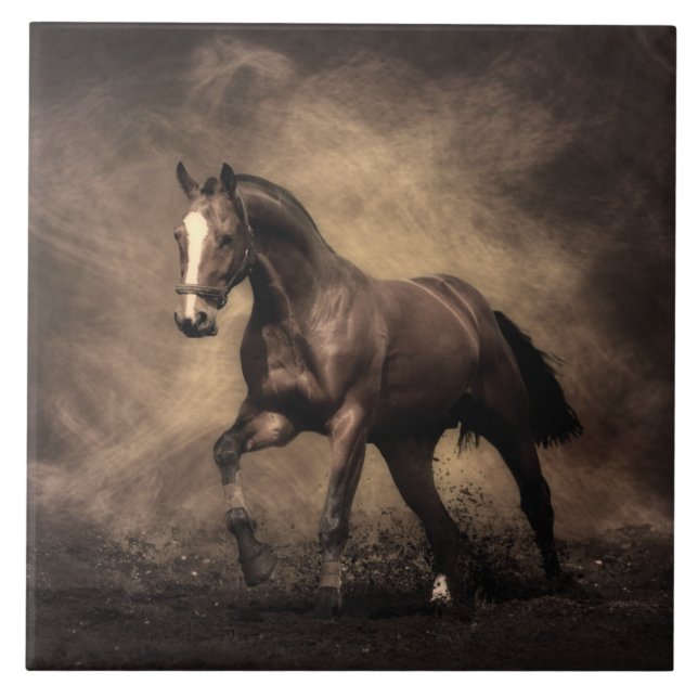 Carreau Beautiful horse throw pillow (Devant)