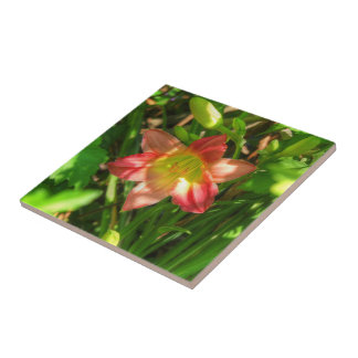 Carreau Beautiful Lily