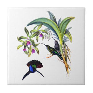 Carreau Beaux colibris et orchidées pourpres