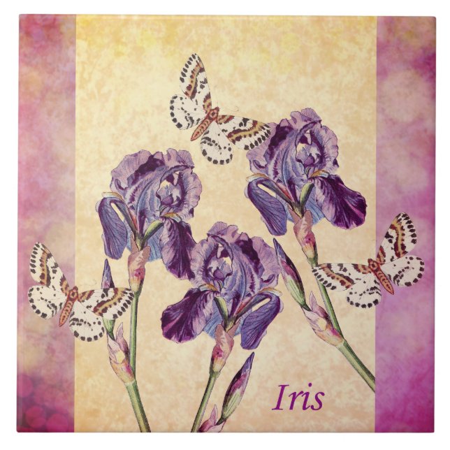 Carreau Beaux fleurs et papillon pourpres d'iris (Devant)