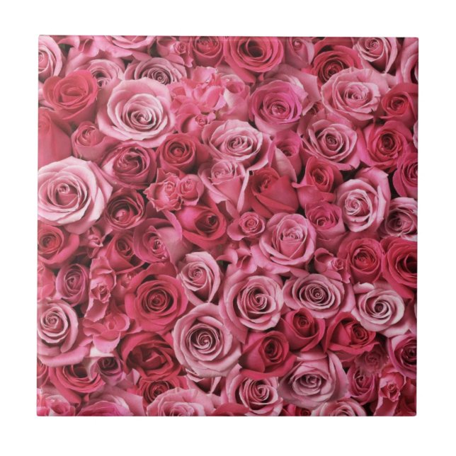 Carreau Beaux roses roses (Devant)