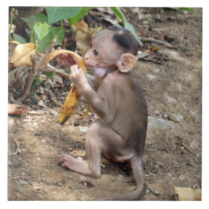 Carreau Bébé singe