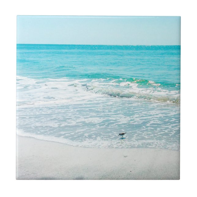 Carreau Bécasseau de sable de Floride (Devant)