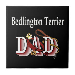 Carreau Bedlington Terrier Dad