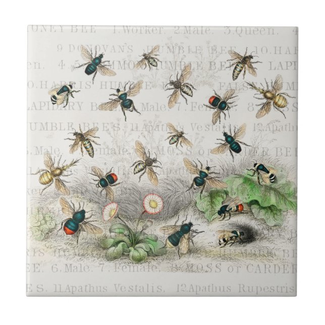Carreau Bee Honey Travailleur Queen Bees Antique (Devant)