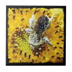 Carreau Bee miel et tournesol