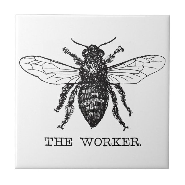 Carreau Bee Worker Honey Black Bumblebee (Devant)