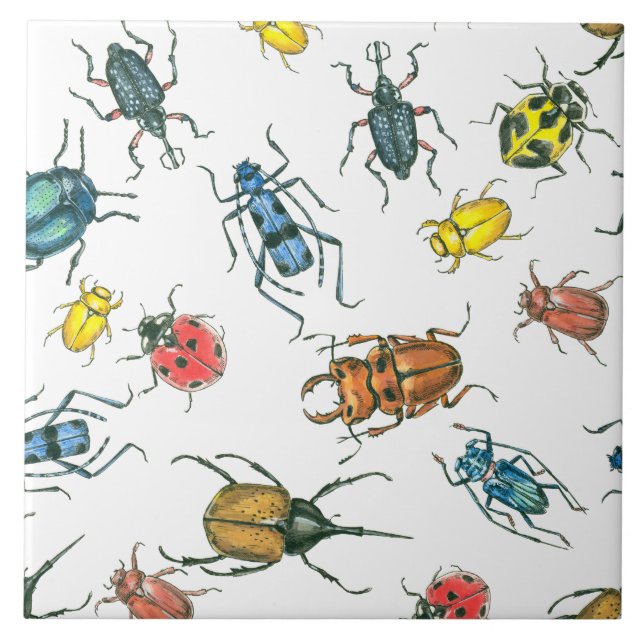 Carreau Beetles (Devant)