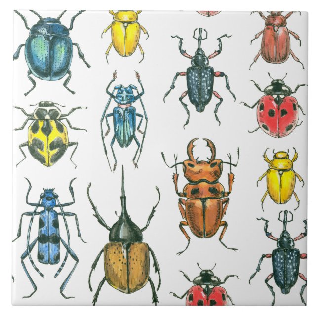 Carreau Beetles (Devant)