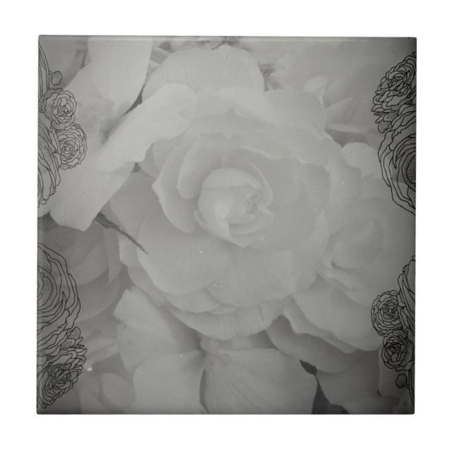 Carreau Bégonie blanche (Devant)
