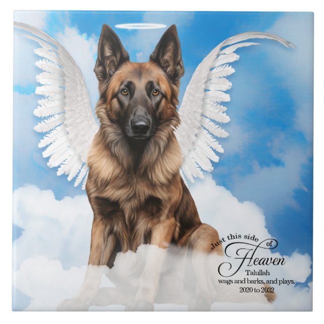 Carreau Belge Tervuren Angel Personnalisé Pet Memorial (Devant)