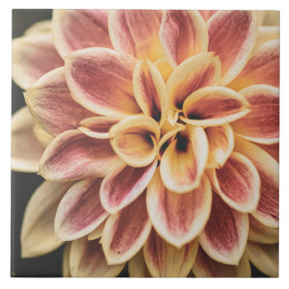 Carreau Belle Fleur Dahlia D'Été (Joli Art Floral)
