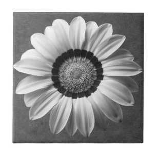 Carreau Belle fleur noire et blanche