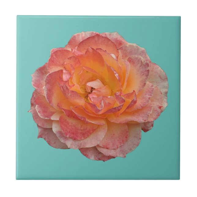 Carreau Belle pivoine orange (Devant)