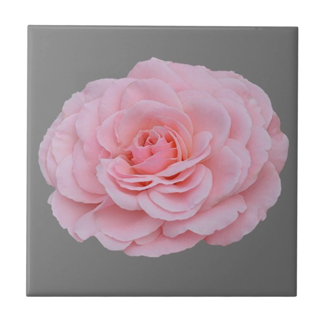 Carreau Belle rose rose (Devant)