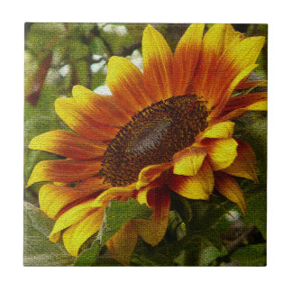 Carreau Belle Tile en céramique de tournesol jaune et oran