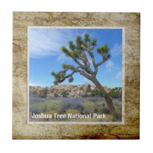 Carreau Belle Tuile Joshua Tree !