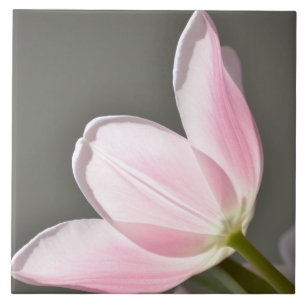 Carreau Belle tulipe