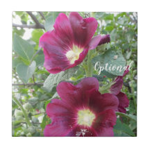 Belles Fleurs rouges profondes et Feuilles verts