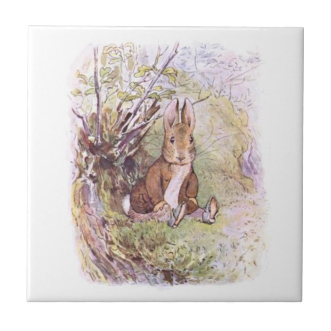 Carreau Benjamin Bunny (par Beatrix Potter) (Devant)
