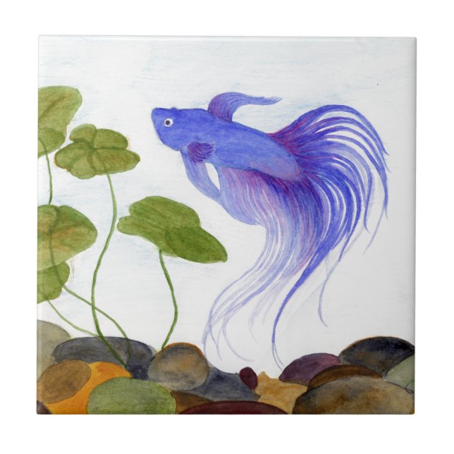 Carreau Betta fish (Devant)