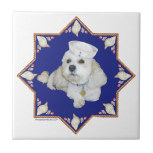 Carreau Bichon Frise Nautique
