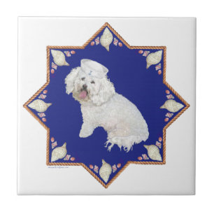 Carreau Bichon Frise Nautique