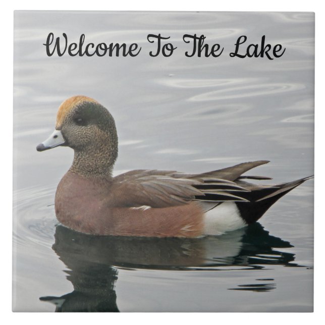 Carreau Bienvenue Canard photo Wigeon Calm Water Lake Hous (Devant)