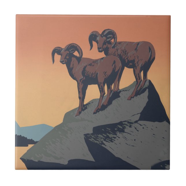 Carreau Bighorn Sheep American West Wildlife (Devant)