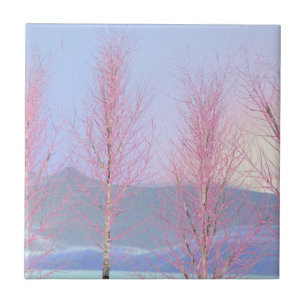 Carreau Birch à la crème de framboise