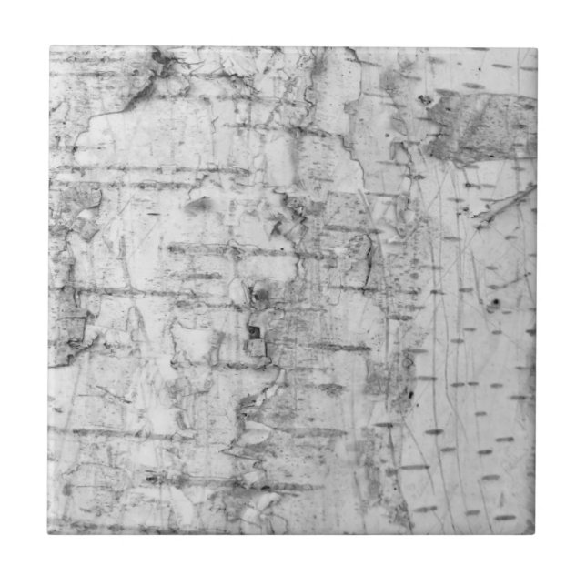 Carreau Birch bark pattern ceramic tile (Devant)