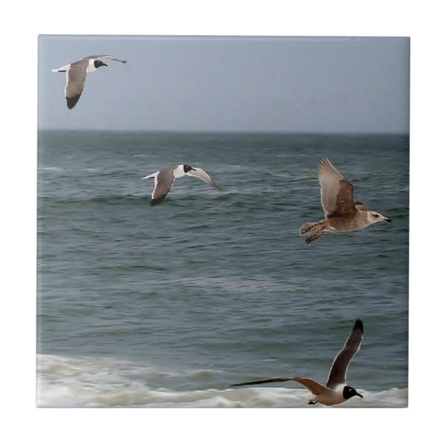 Carreau Birds in Flight by Shirley Taylor (Devant)
