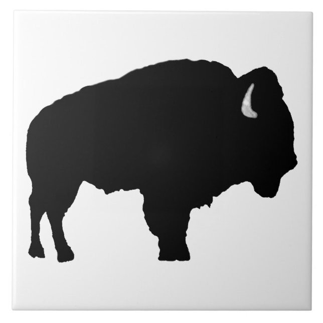 Carreau Bison américain (Devant)