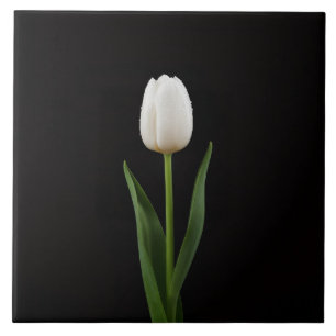 Carreau Black 4 Luxe avec Tulipe Blanc Perle