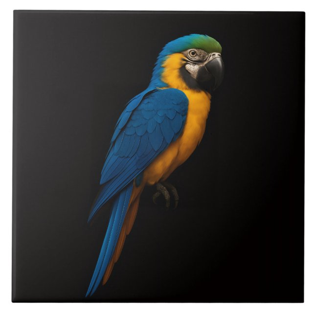 Carreau Black 4 Luxe Tile with Blue Yellow Macaw (Devant)