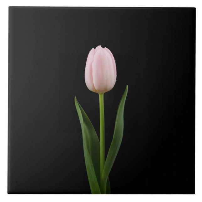 Carreau Black 4 Luxe Tile with Blush Pink Tulip (Devant)