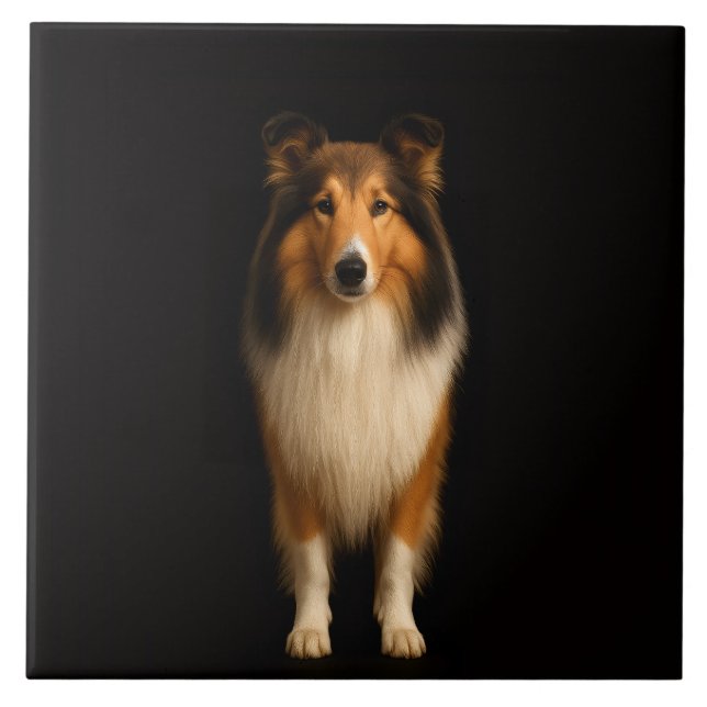 Carreau Black 4 Luxe Tile with Loyal Collie Dog (Devant)