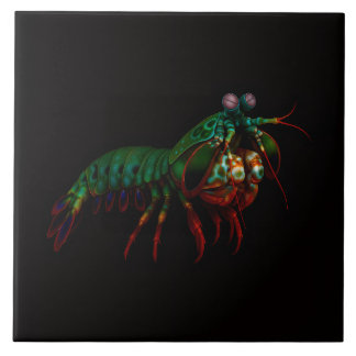 Carreau Black 4 Luxe Tile with Mantis Shrimp