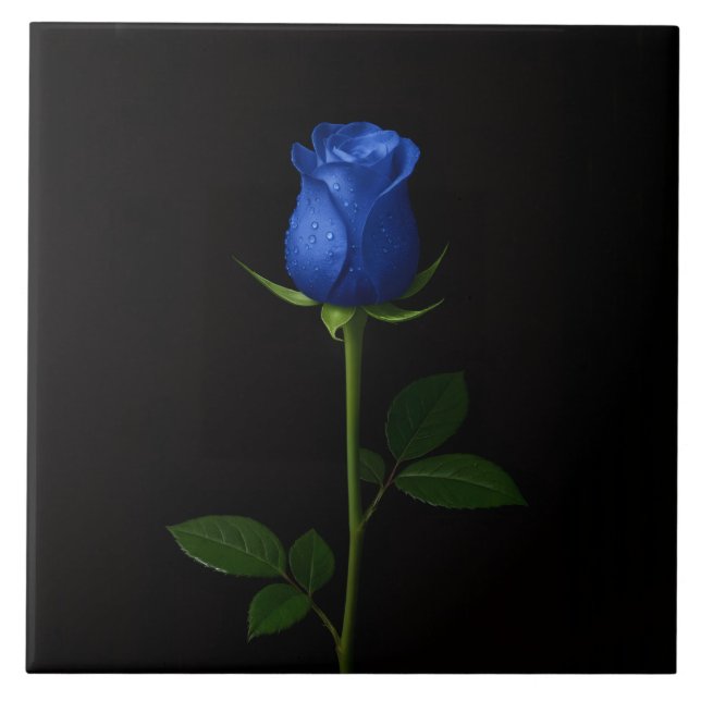 Carreau Black 4 Luxe Tile with Midnight Blue Rose (Devant)