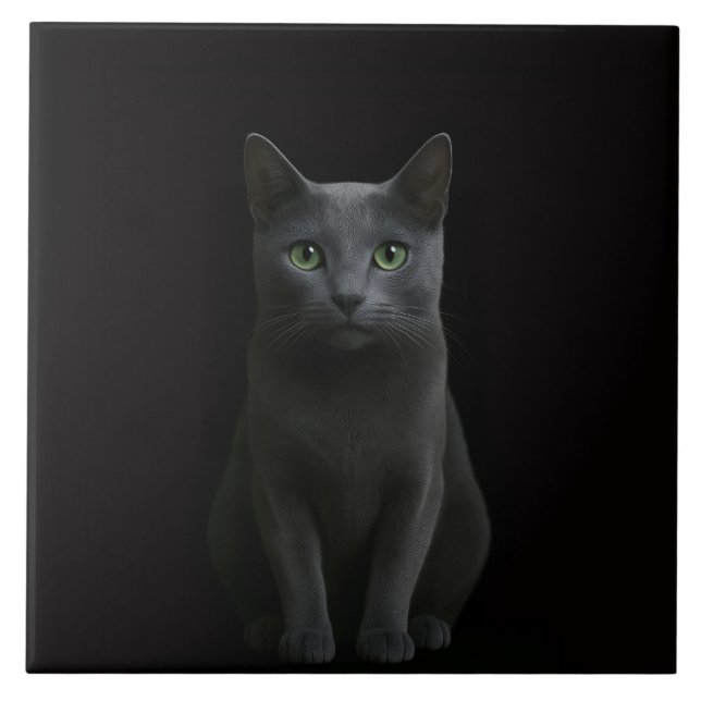 Carreau Black 4 Luxe Tile with Russian Blue Cat (Devant)